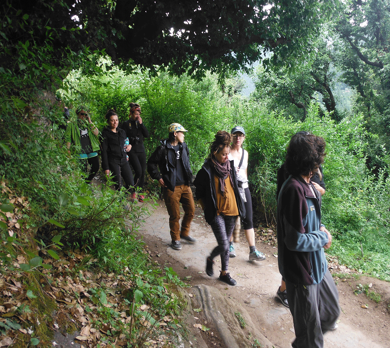 Visitors walking to Jogini Falls — a short trek from the homestay