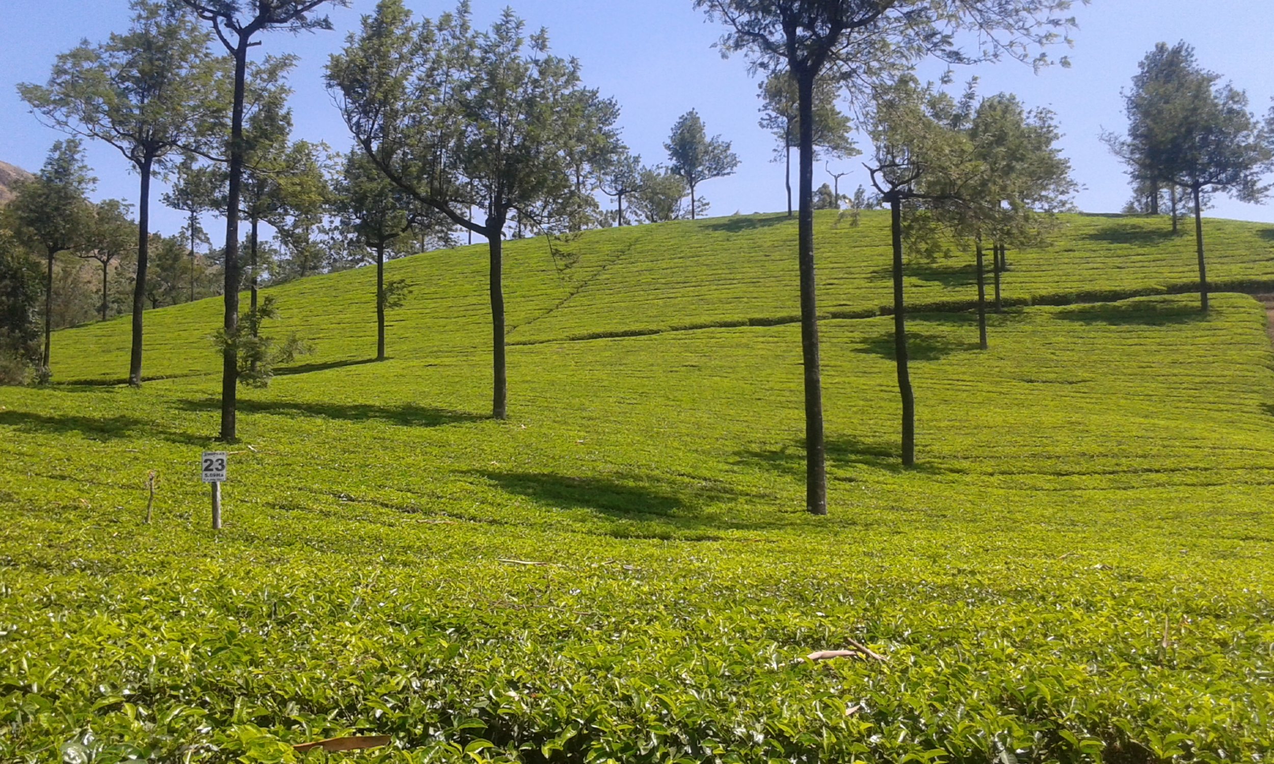 20150217_114839.jpg