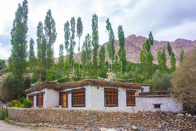 yoga retreat in ladakh