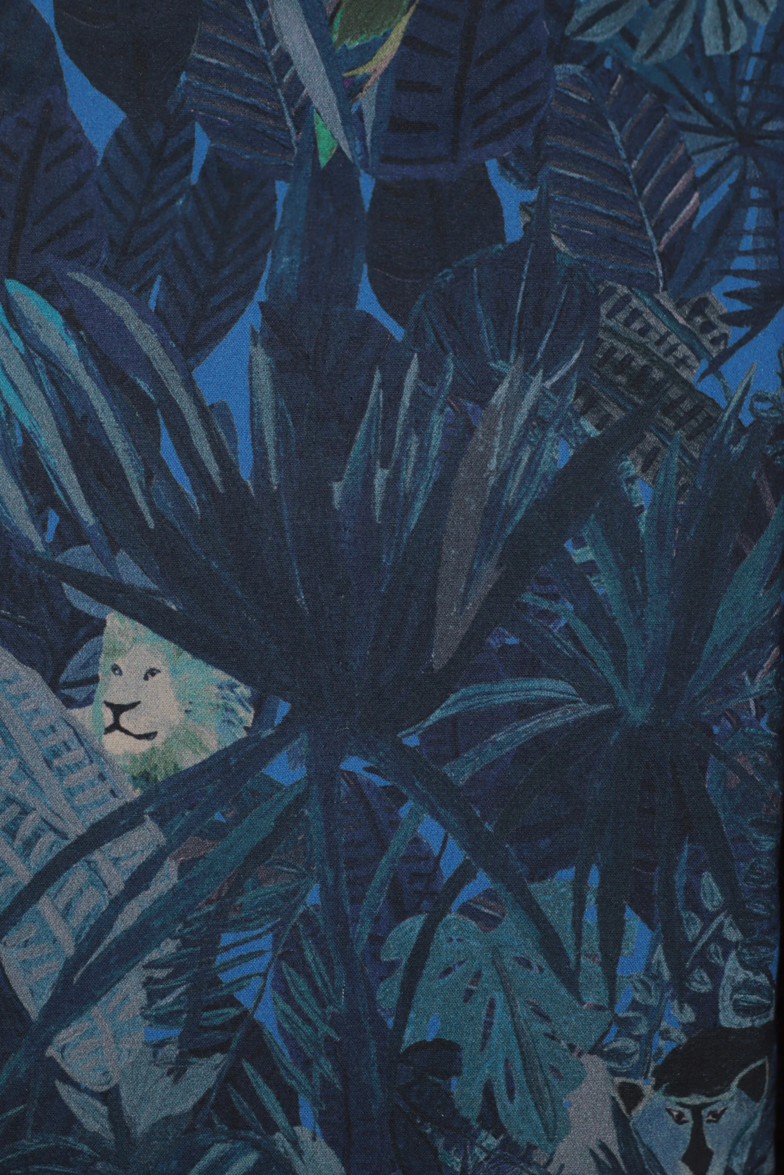 Rumble in the jungle.JPG