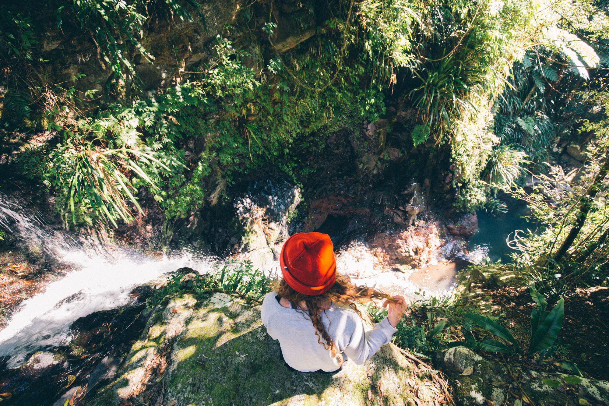 Lamington National Park