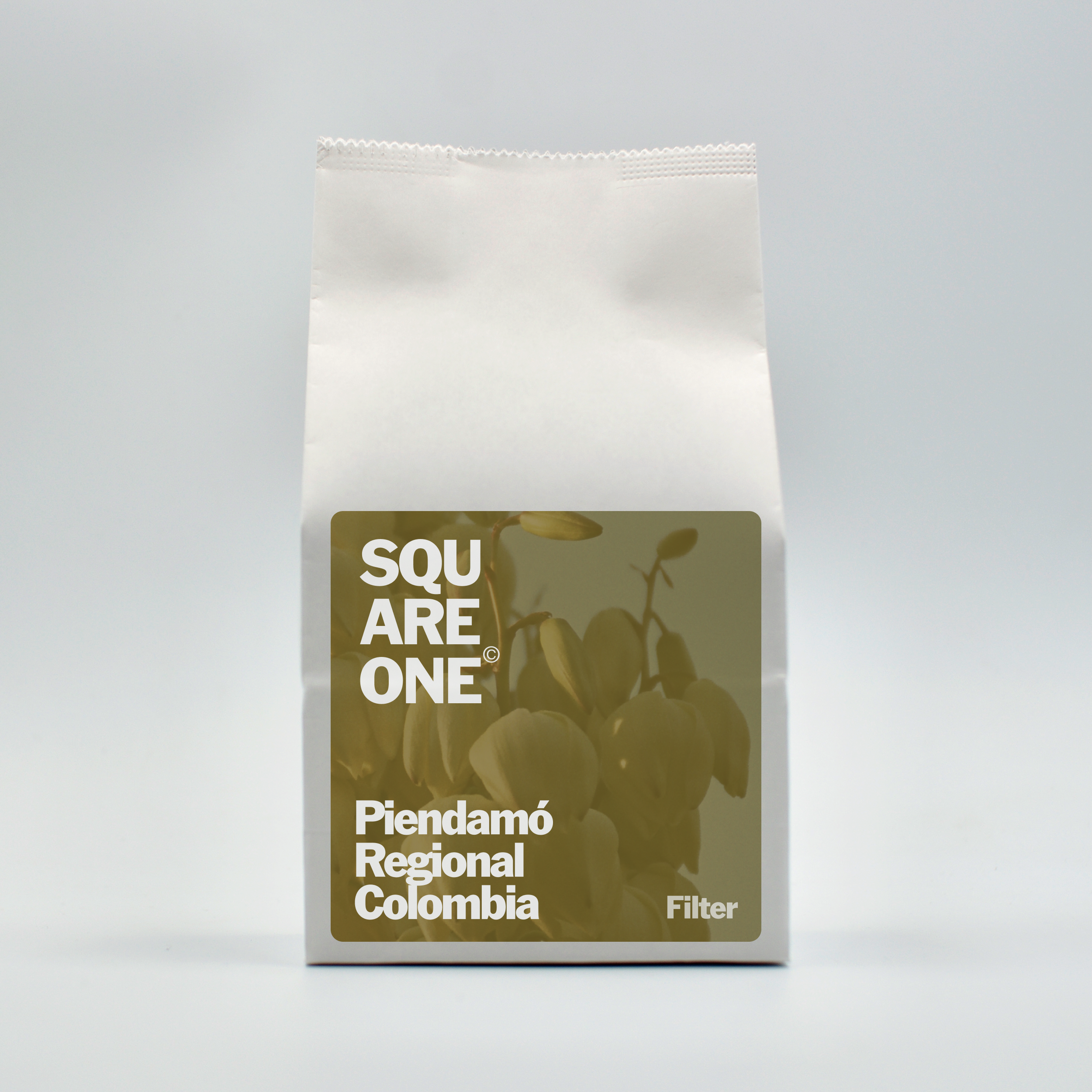 PIENDAMO FRONT MOCKUP.png