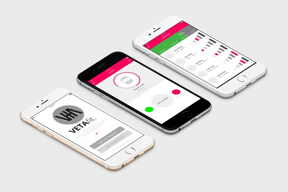 VETA_Mockup.jpg