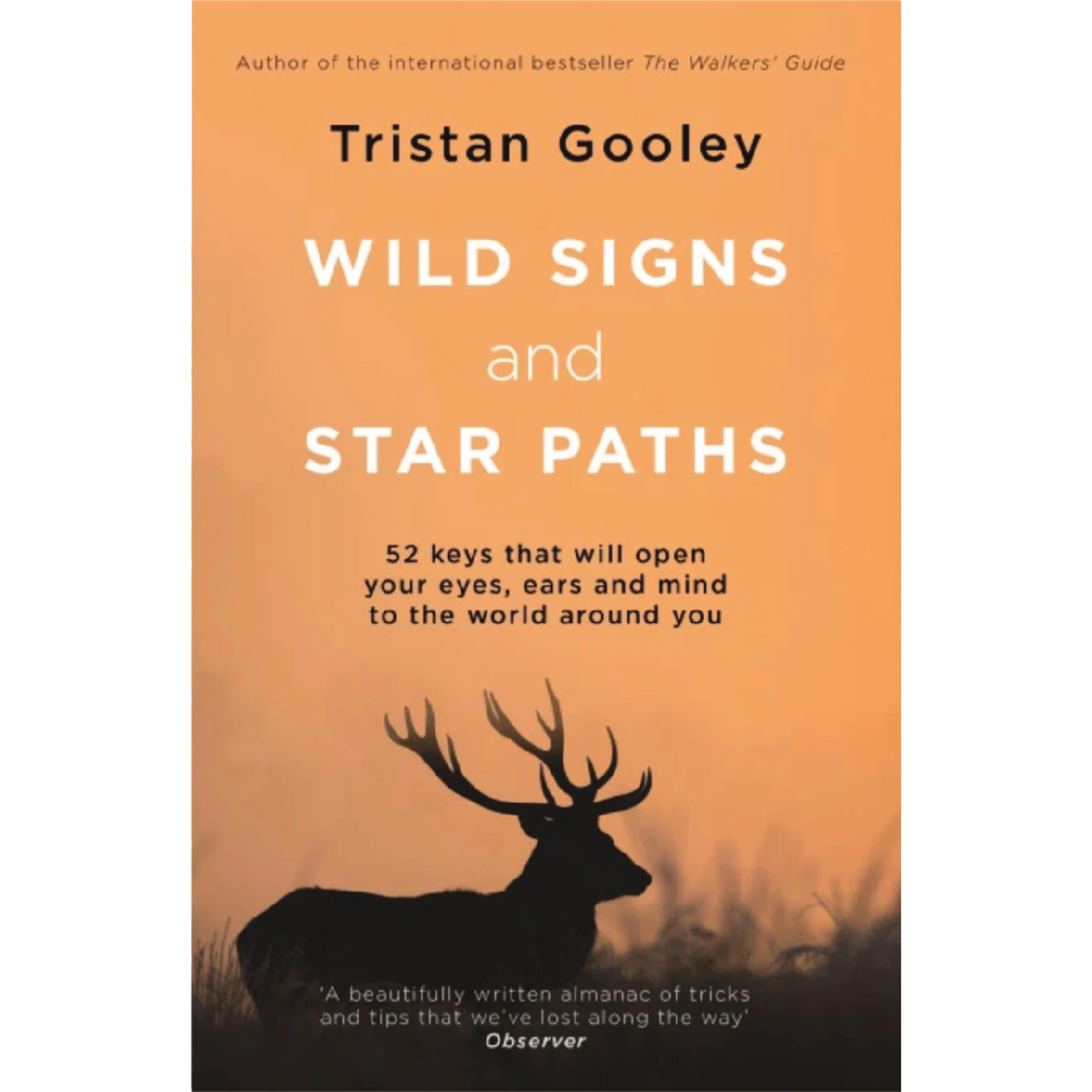 Wild Signs and Star Paths Book.jpg