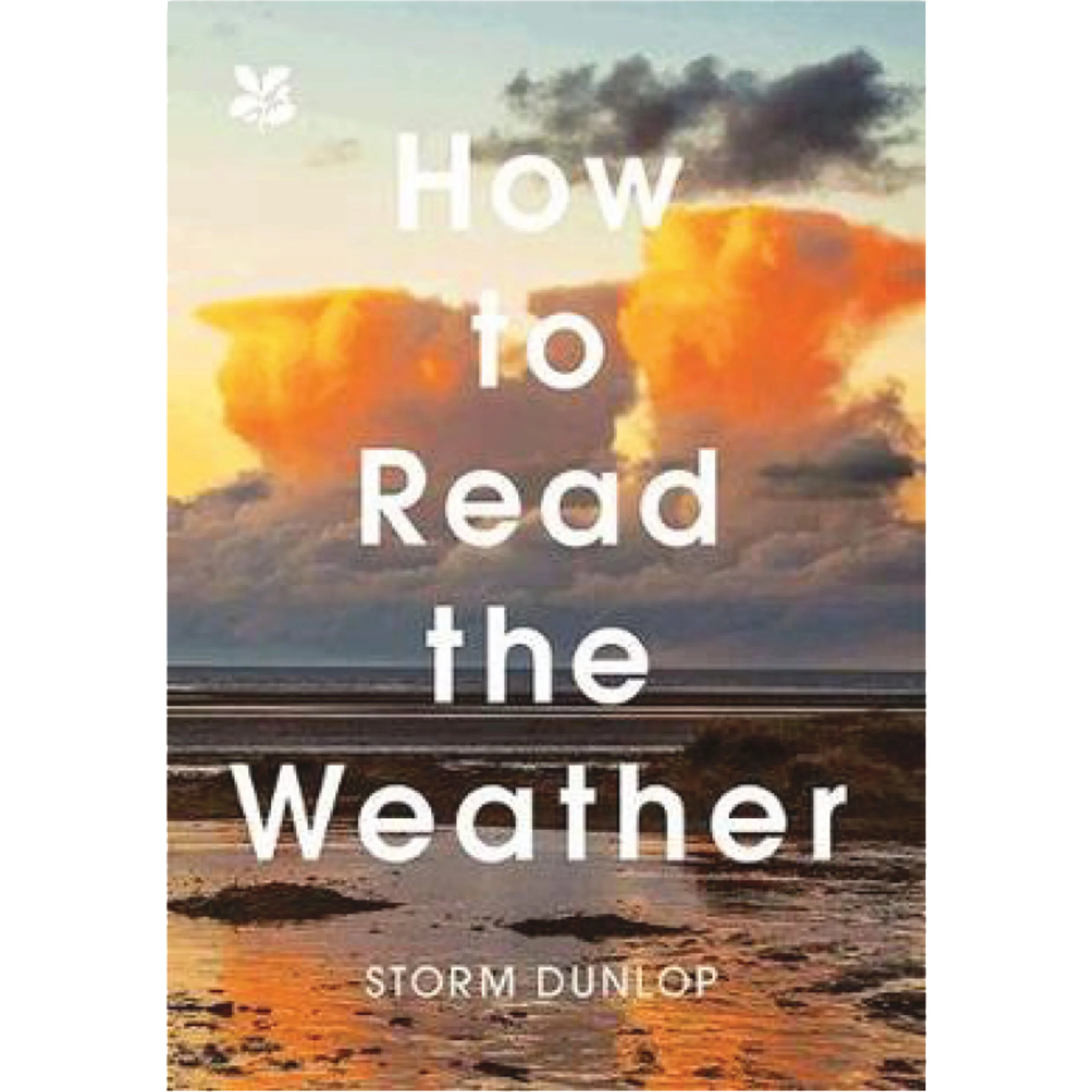 How to Read the Weather Book.jpg
