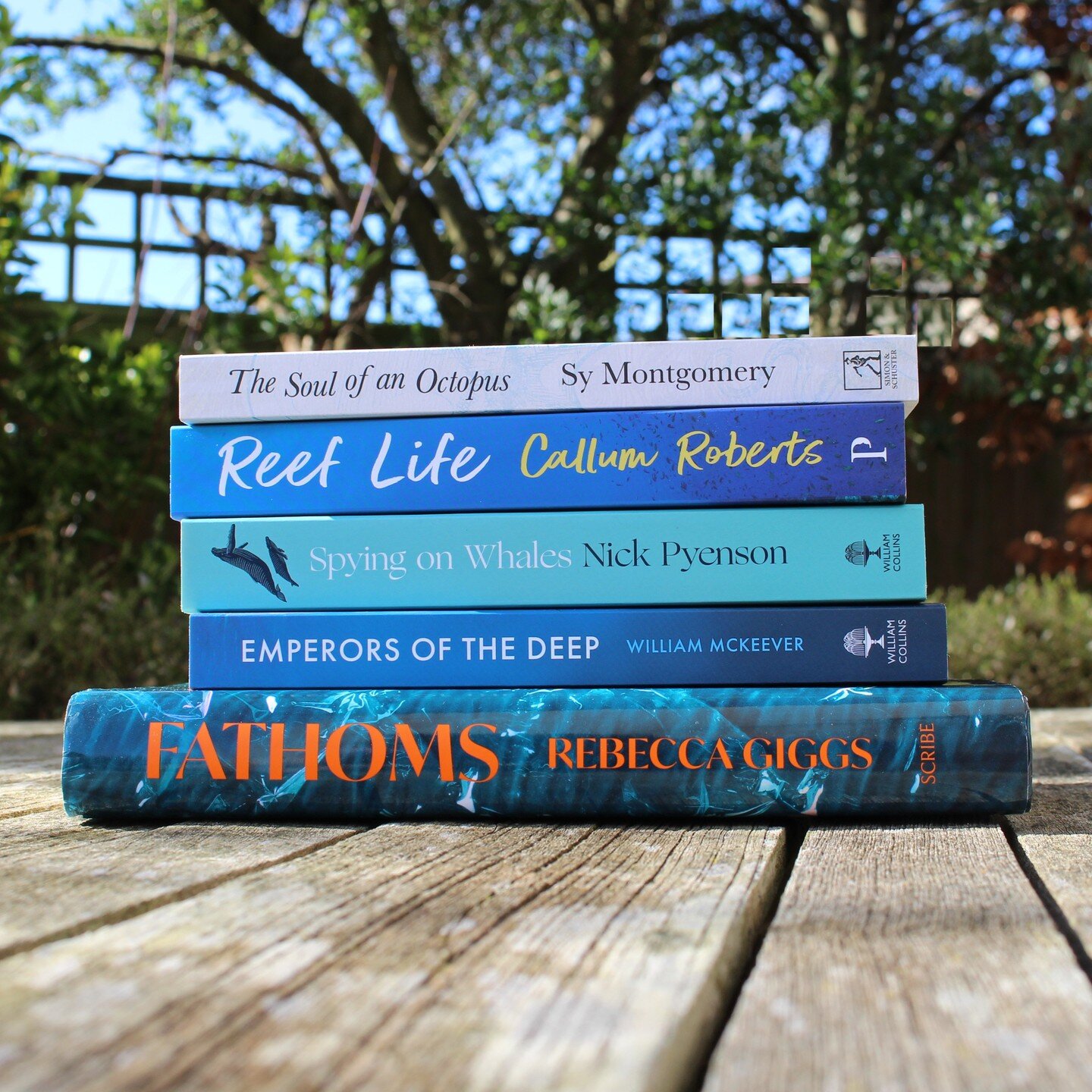 Explore Earth's ocean alongside some of its incredible inhabitants with these wonderful reads! Which of these books are you most drawn to? 🐋 🐙 🦈 🐠 🌊
.
.
.
#bookstagram #bookshop #naturereads #oceanreads #books #bookphotography #onlinebookshop #s