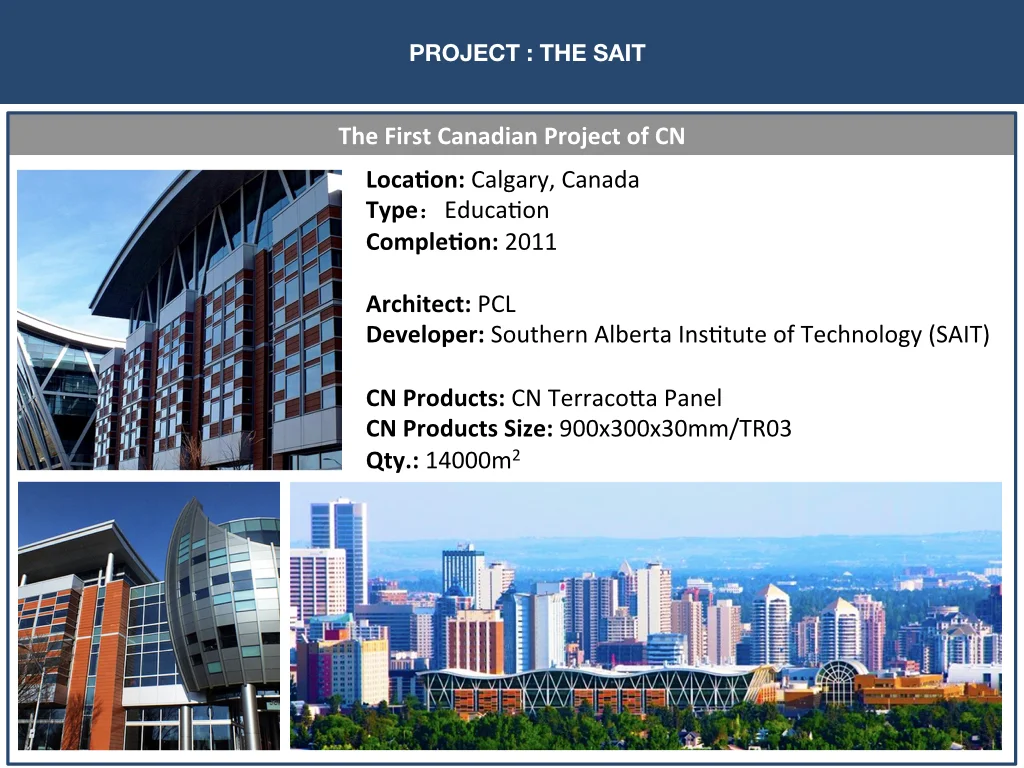 CNT PROJECTS PAGE FOR WEBSITE.005.jpeg