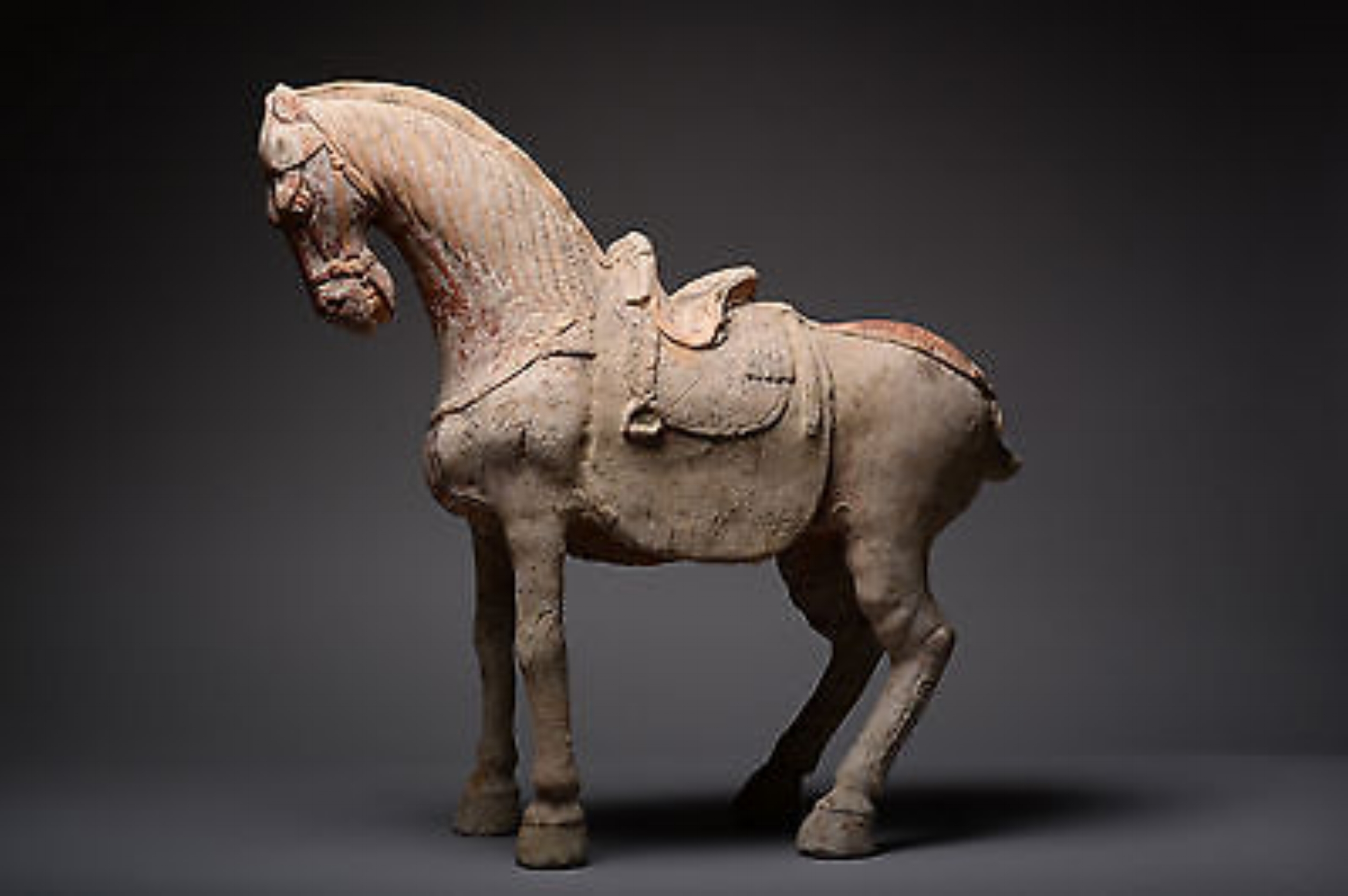 horse.jpeg