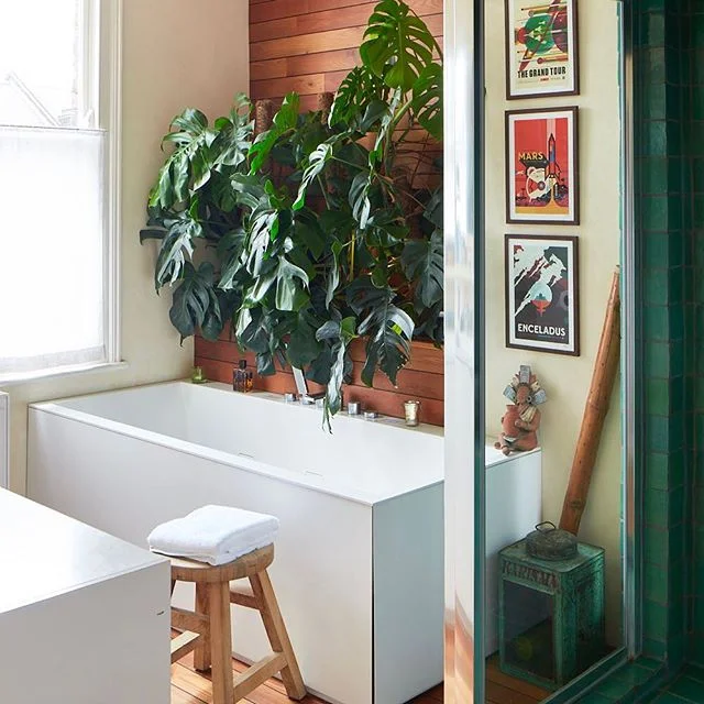 A favourite of mine: the #bathroom - I wanted a #spa feel to the room with this (now) gigantic #cheeseplant , an attractive #whirpool #bathtub and #hammam #shower / #steamroom / I will post more of it 😀 - 📷Matt Clayton - #bathroomdecor #bathroomdes