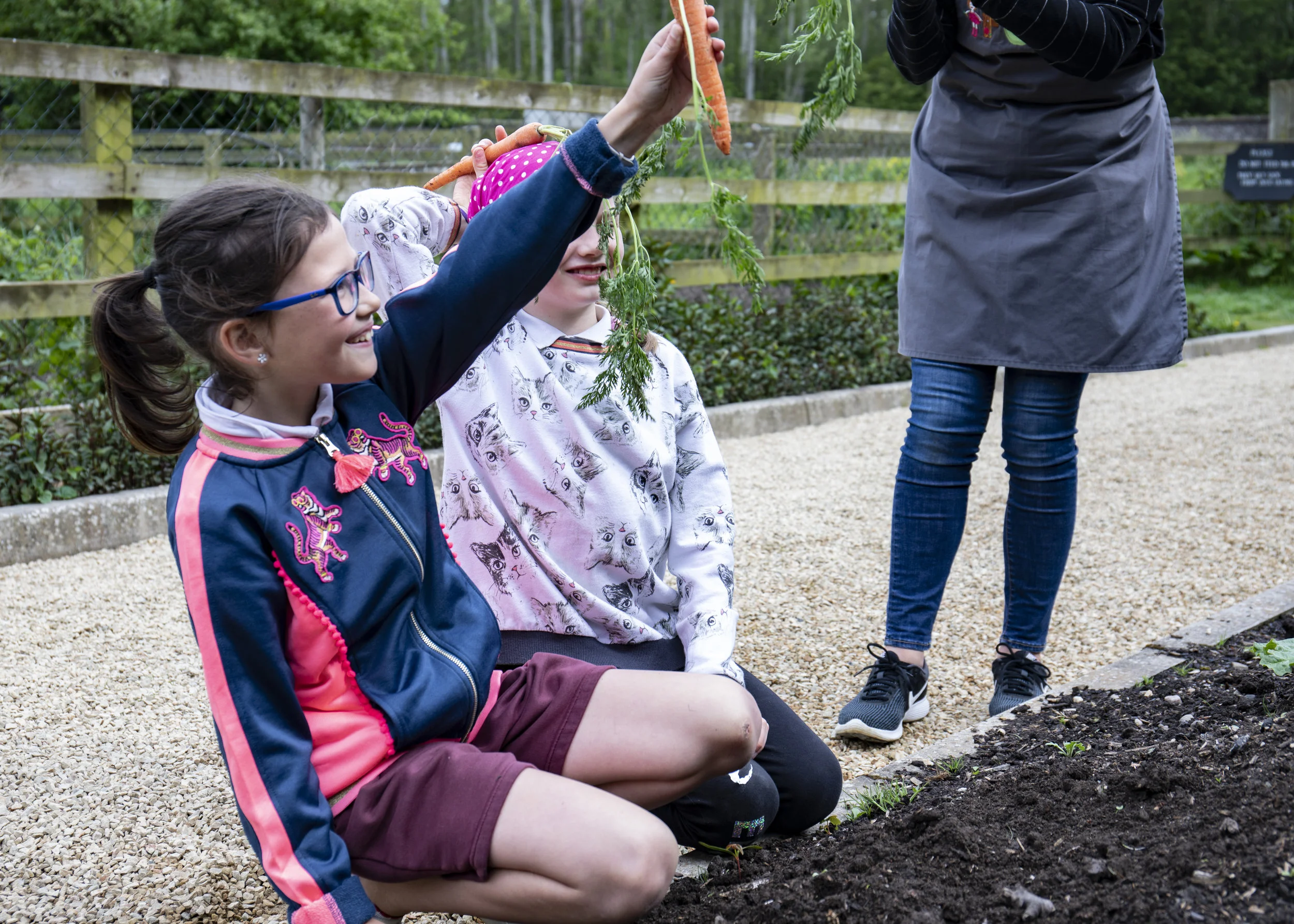 pulling carrots in killruddery with the cool food school.jpg