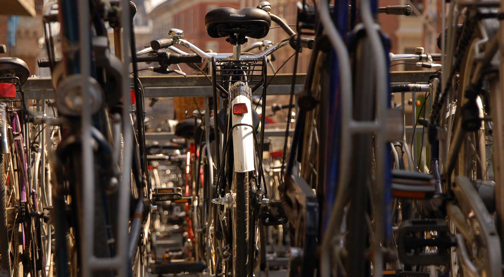 bike_front.jpg