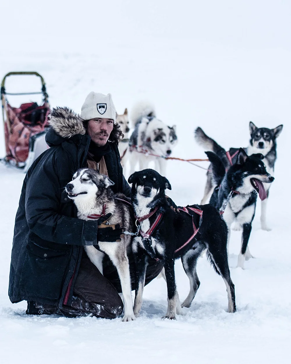 HUNDSPANN Tillsammans med slädhundarna får ni uppleva en fantastisk närhet till fjället och självklart får alla möjligheten att köra det egna spannet.