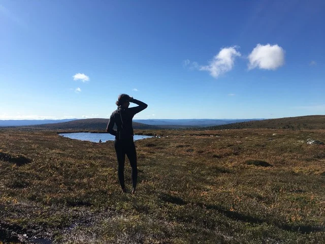 fjäll.jpg