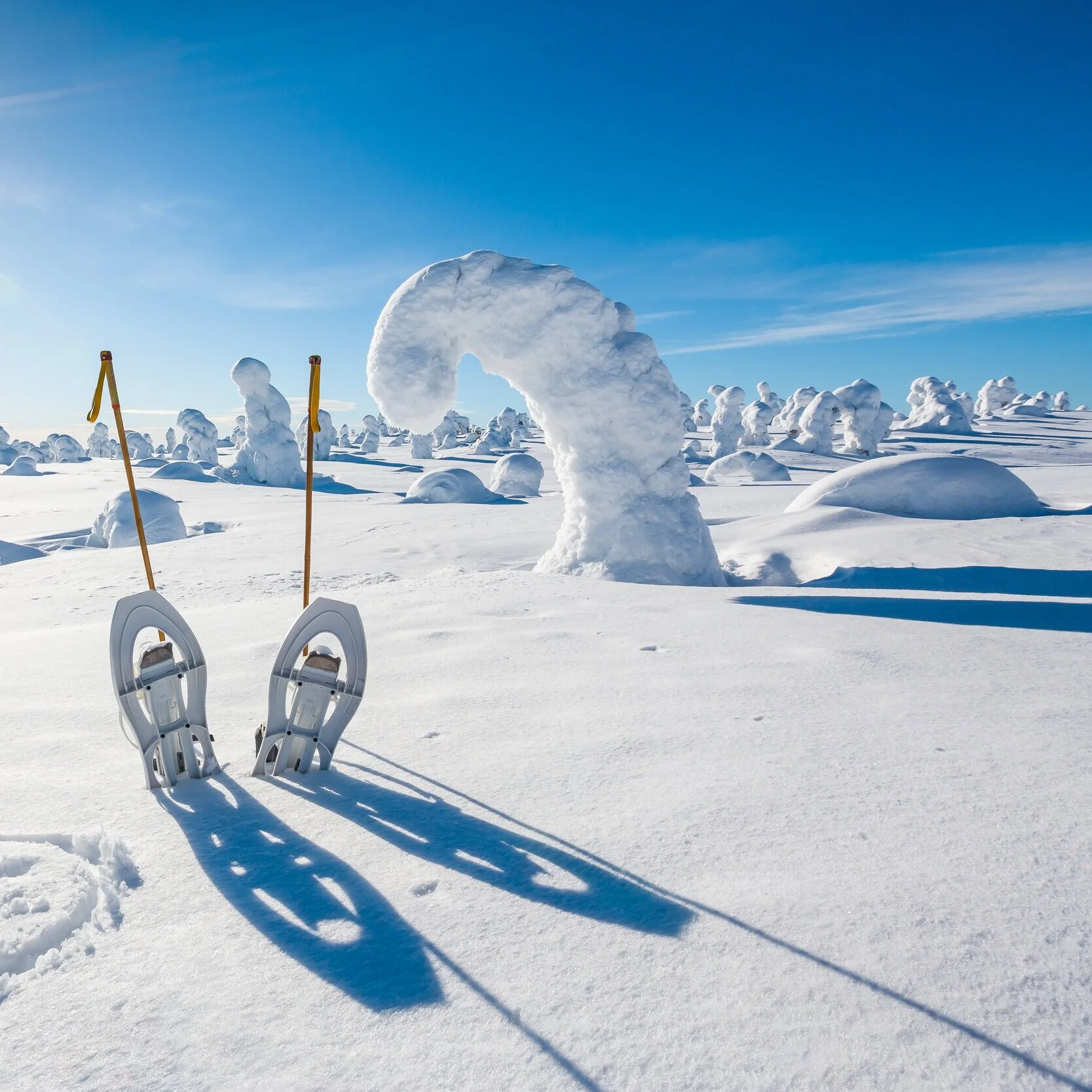 SNÖSKOR För de som inte vill åka skidor men ändå vill komma ut på fjället. En magisk upplevelse "till fots".