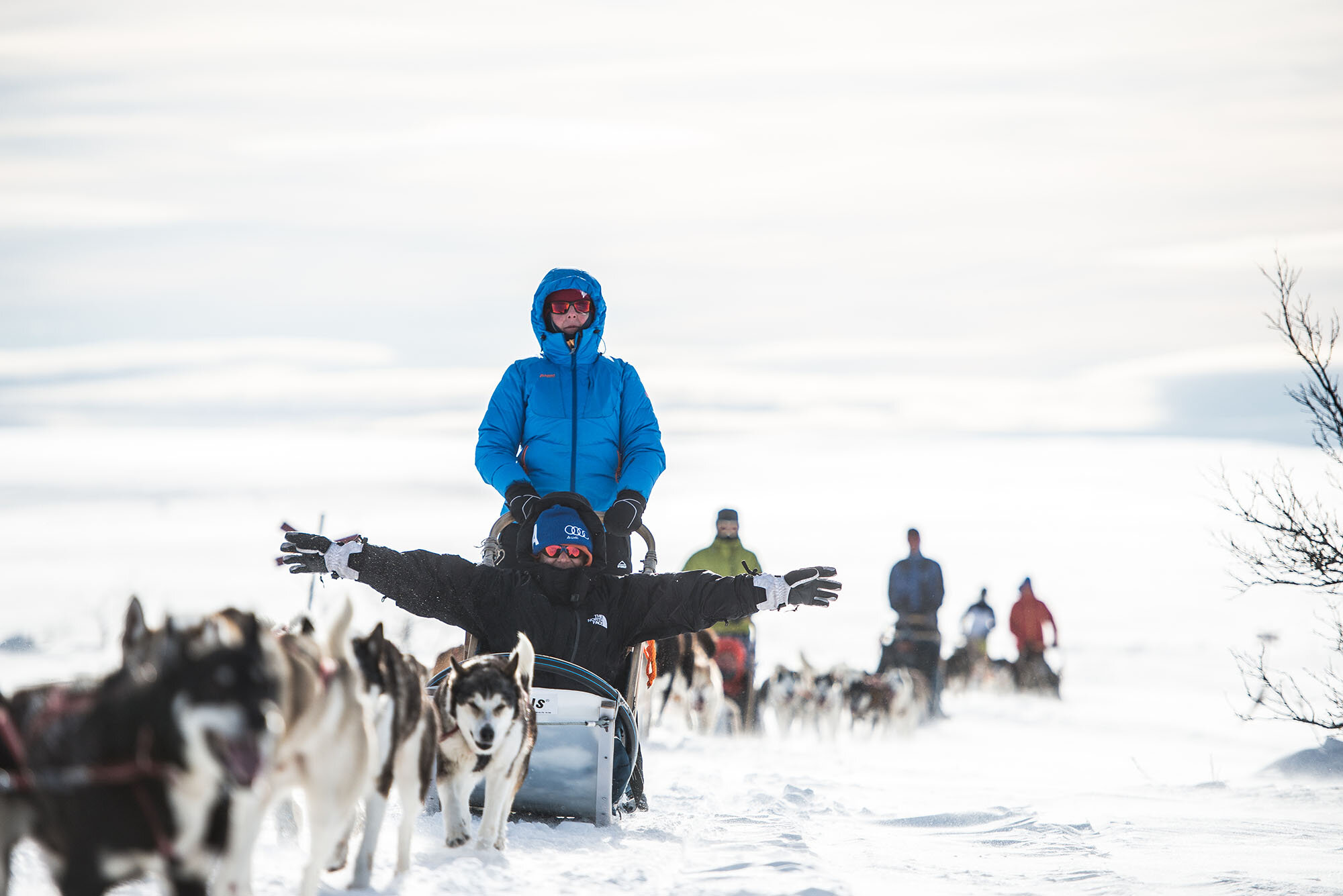 fjälläventyr hundspann Sälen2.jpg