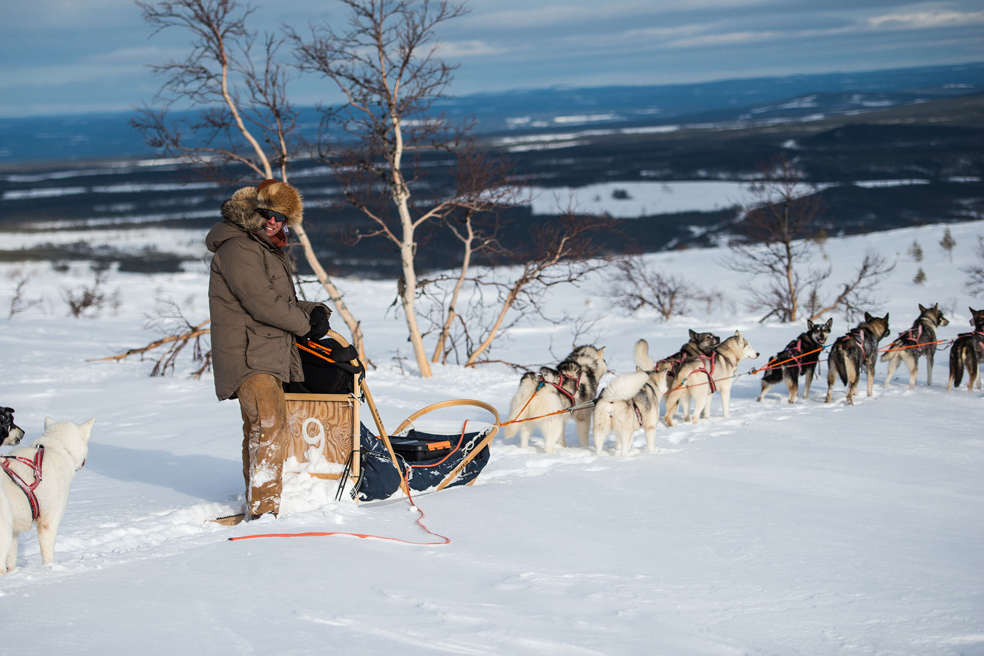 fjälläventyr hundspann Sälen3.jpg