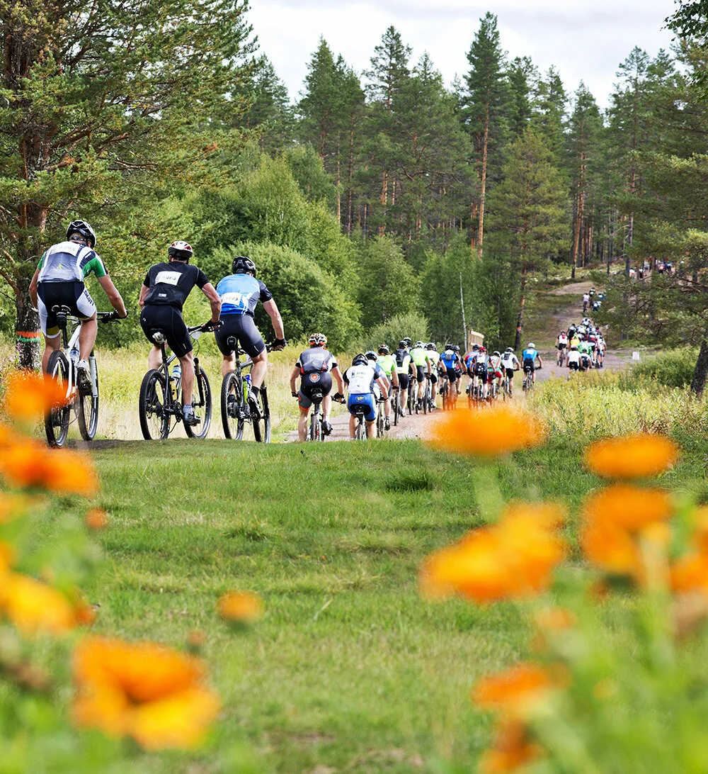 Cykelvasan i Sa╠êlen.jpg