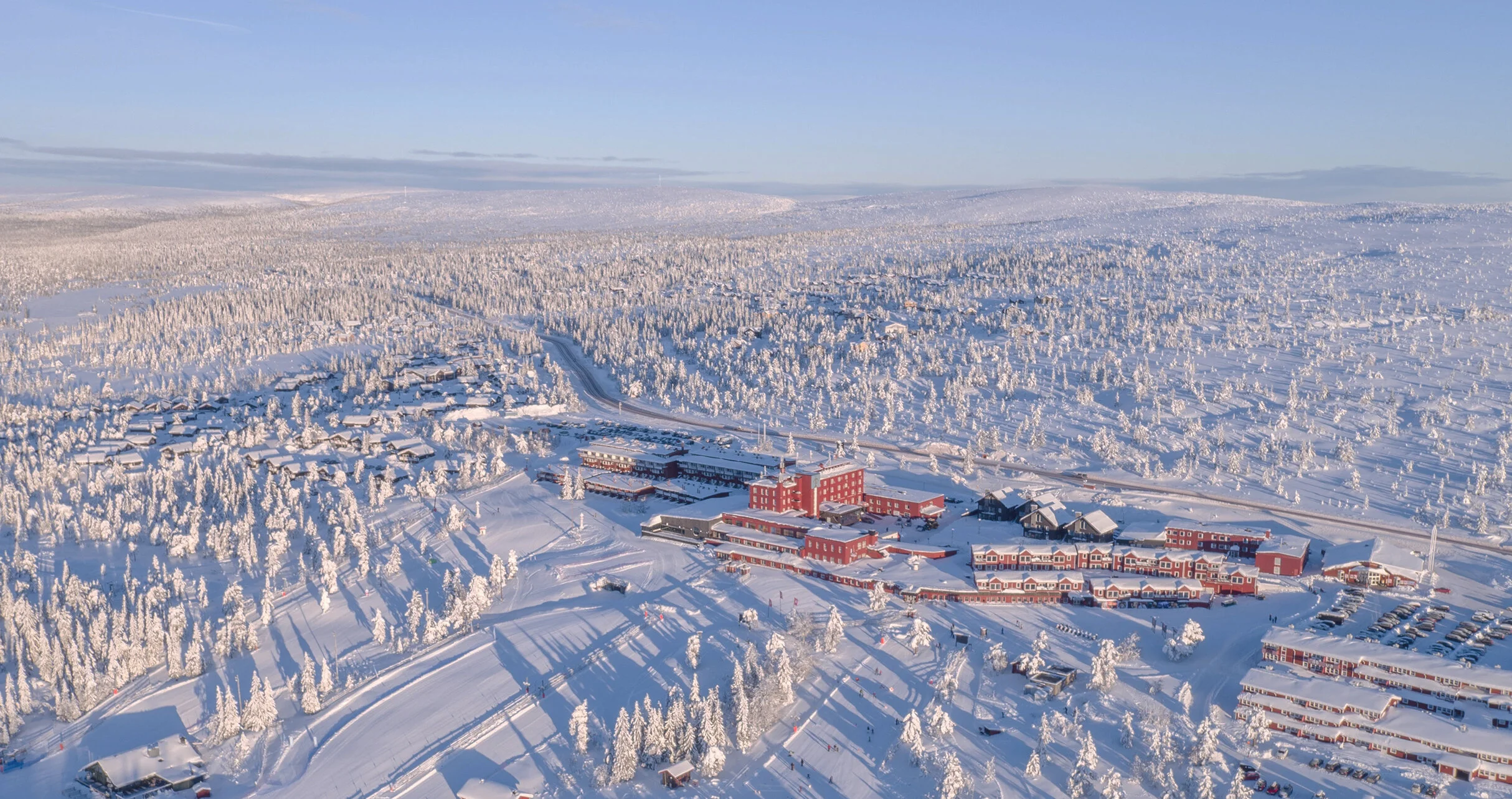 Hogis VINTER.jpg