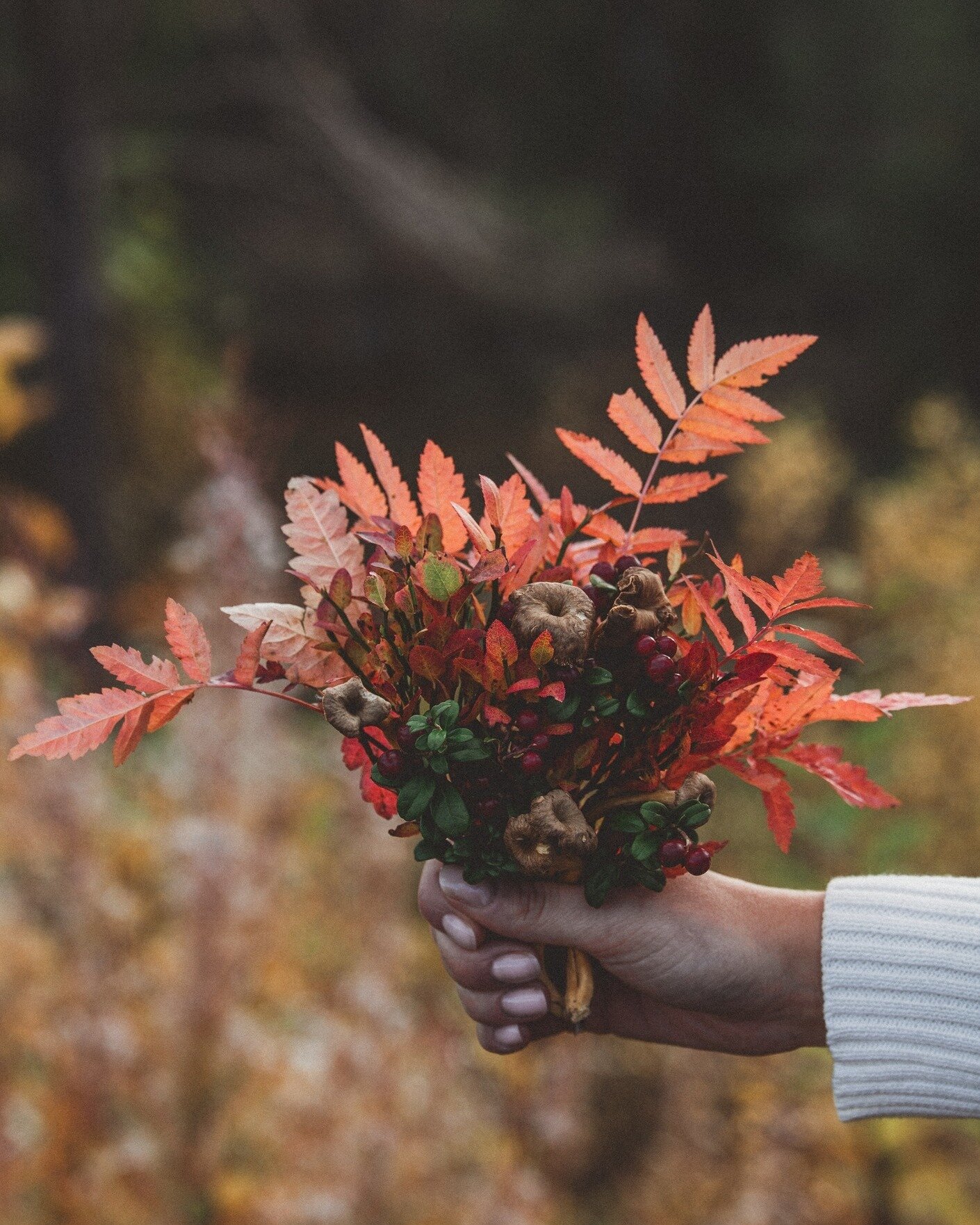 H&ouml;sten har aldrig smakat s&aring; gott 🍁

Njut du med av Gammelg&aring;rdens nya h&ouml;stmeny som f&aring;r smakl&ouml;karna att dansa, bokstavligt talat 😍 
Boka bord via l&auml;nken i bio. 
#scandinavianresorts #s&auml;lensh&ouml;gfj&auml;ll