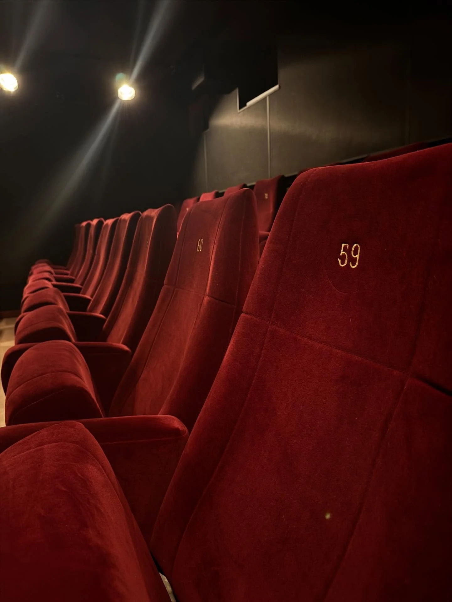 BIOPREMI&Auml;R VINTERPALATSET🎞️🍿 Den 19 december har vi biopremi&auml;r f&ouml;r hotellets biosalong. H&auml;r &auml;r n&aring;gra gamla godingar vi kommer visa under julen✨ 23/12 ELF 16.00 🎅🏼🎄 24/12 POLAREXPRESSEN 08.30 🌲🚂 vi bjuder p&aring;