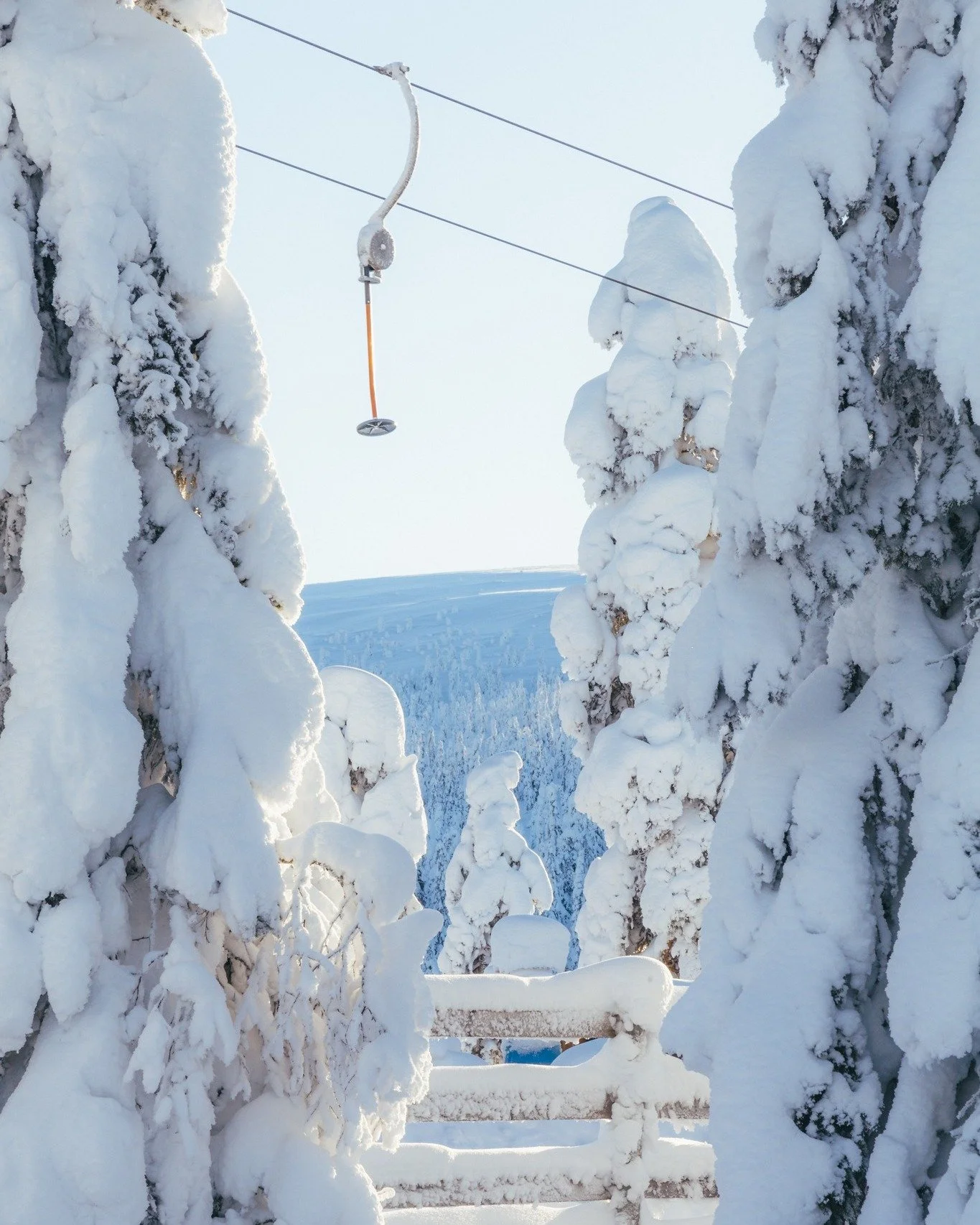 Sn&ouml;tyngda tr&auml;d p&aring; H&ouml;gfj&auml;llet, finns det n&aring;got vackrare?