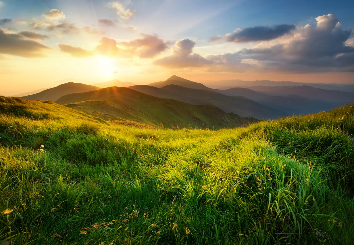 PROFESSIONAL CONSULTING RIGHT OF WAY/SITE ACQUISITION | ENVIRONMENTAL | RELOCATION DISASTER AND EMERGENCY MANAGEMENT | SITE SELECTION AND PROJECT DEVELOPMENT