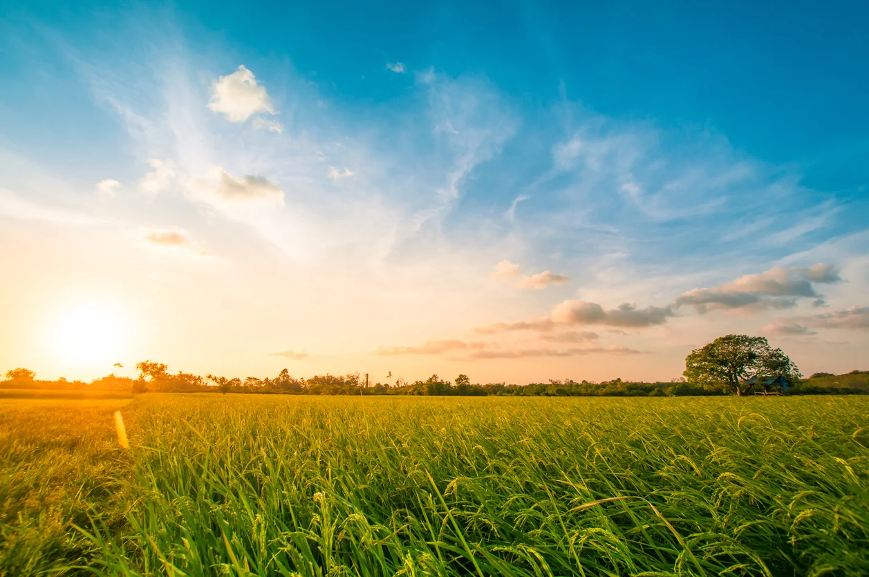 PROFESSIONAL CONSULTING RIGHT OF WAY/SITE ACQUISITION | ENVIRONMENTAL | RELOCATION DISASTER AND EMERGENCY MANAGEMENT | SITE SELECTION AND PROJECT DEVELOPMENT