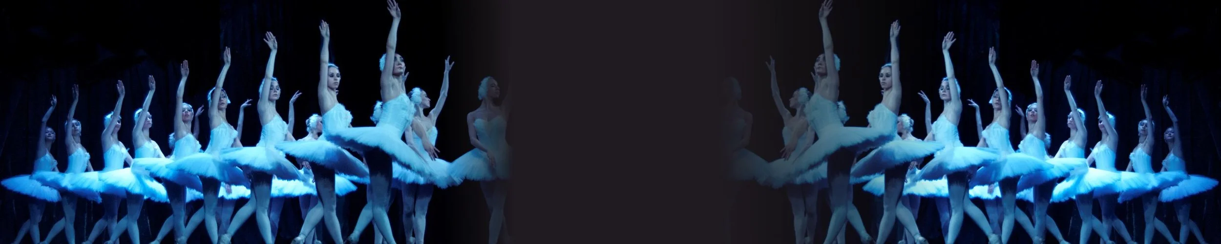 royal moscow ballet profile banner.jpg