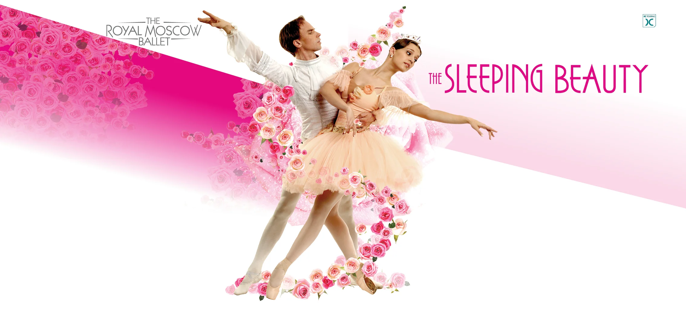 SLEEPING BEAUTY banner.jpg