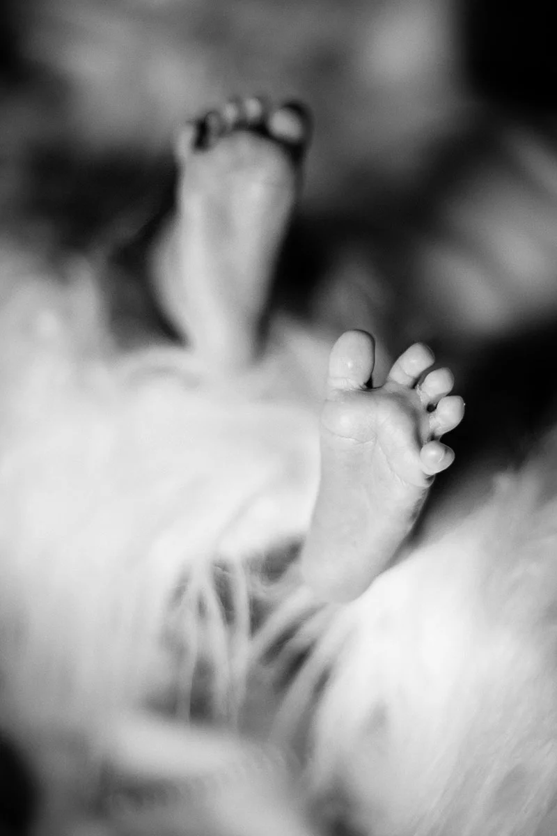 DelphinePerrin-portraitsBB_210514_3781_1.jpg