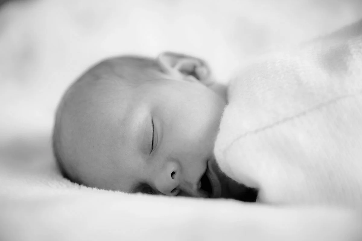 Portraits-BB-DelphinePerrin_6229.jpg