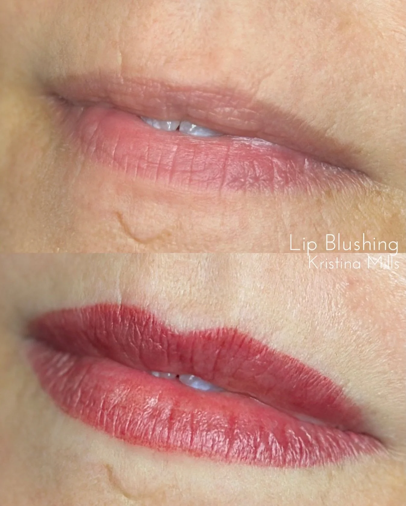 Time to update the grid 😆 here are some stunners I&rsquo;ve been fortunate to work on recently! 

 #lipblushingatlanta #lipblushingatl #Atlantalipblushing #Atlantapermanentmakeup #cosmetictattoo #lipblushing #liptattoo #permanentmakeup