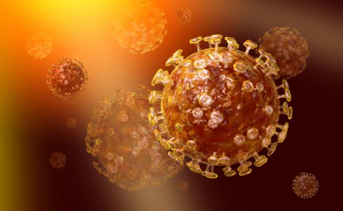 Medical News Today: How MERS-CoV spread