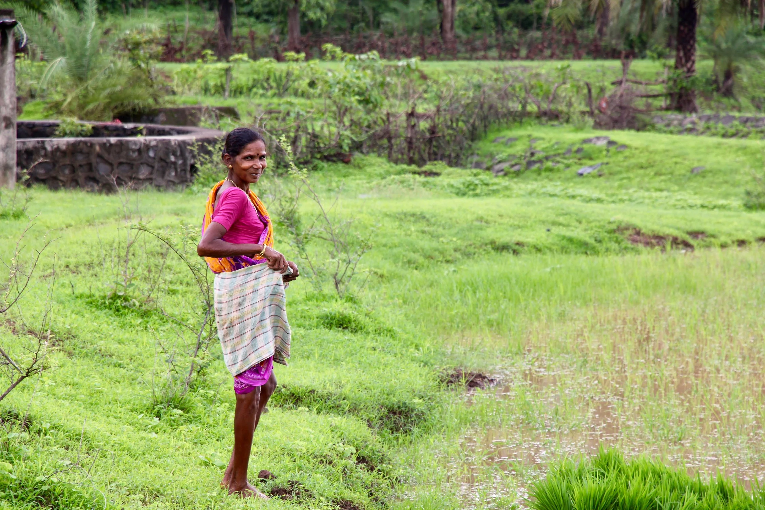Anusaya Padaval is about to work in a rice field in a little hamlet of the Tamkhind village. There are 7 primary tribal Adivasi groups in Palghar, with Varli being the largest of them.