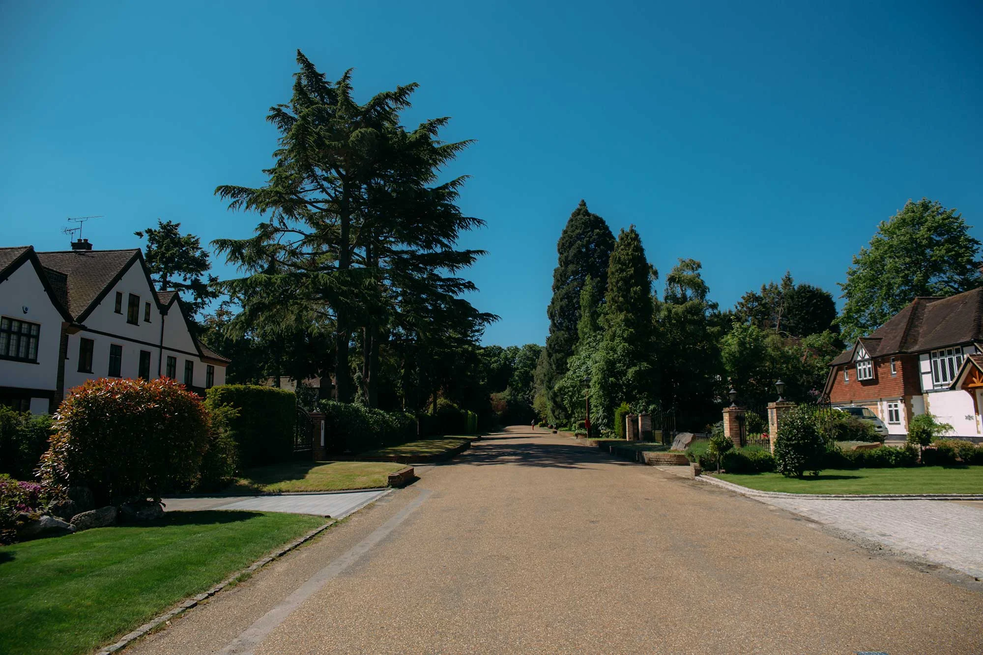 keston-park-about.jpg