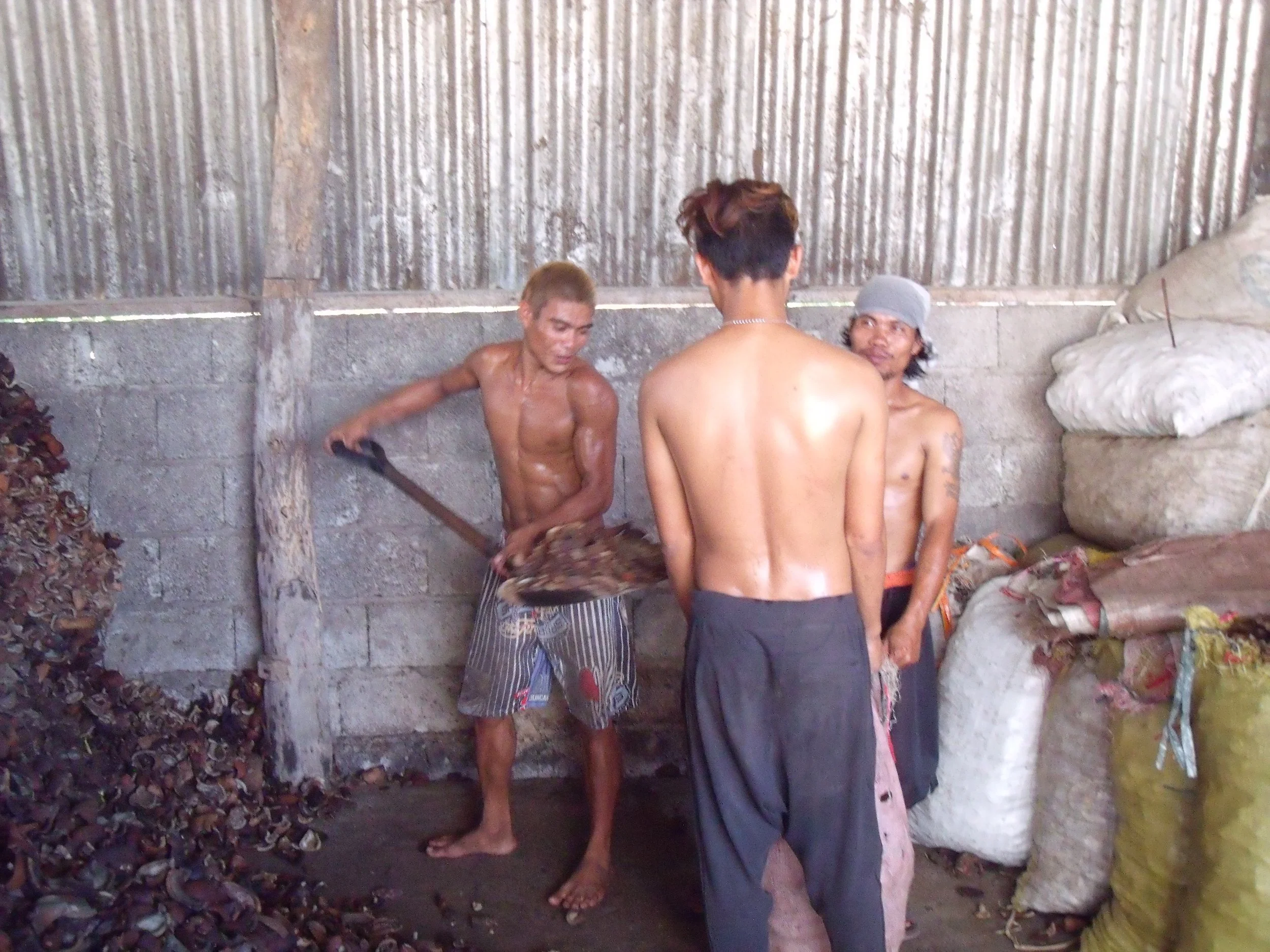 shoveling-copra.jpg