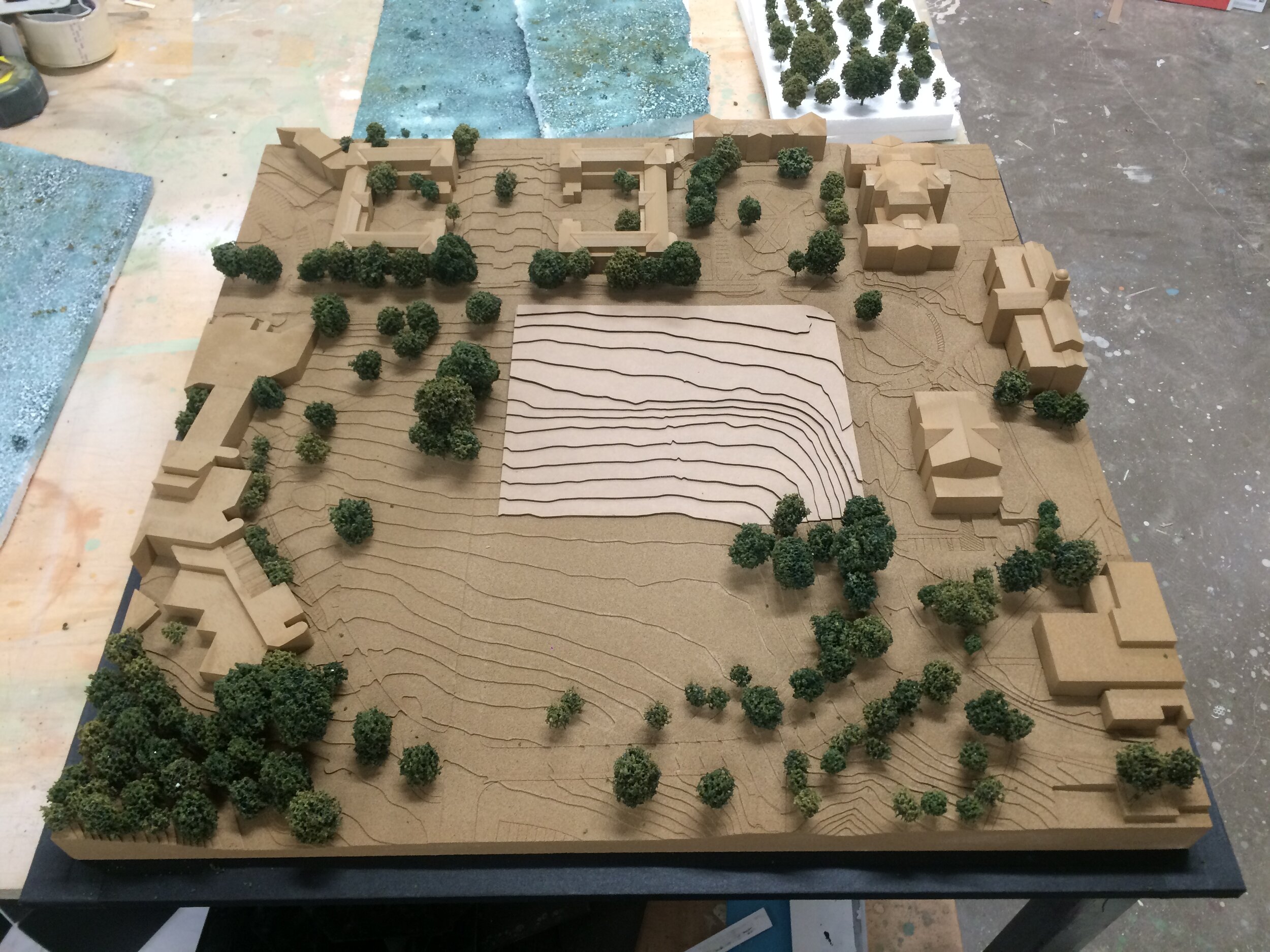 WAKE FOREST UNIVERSITY