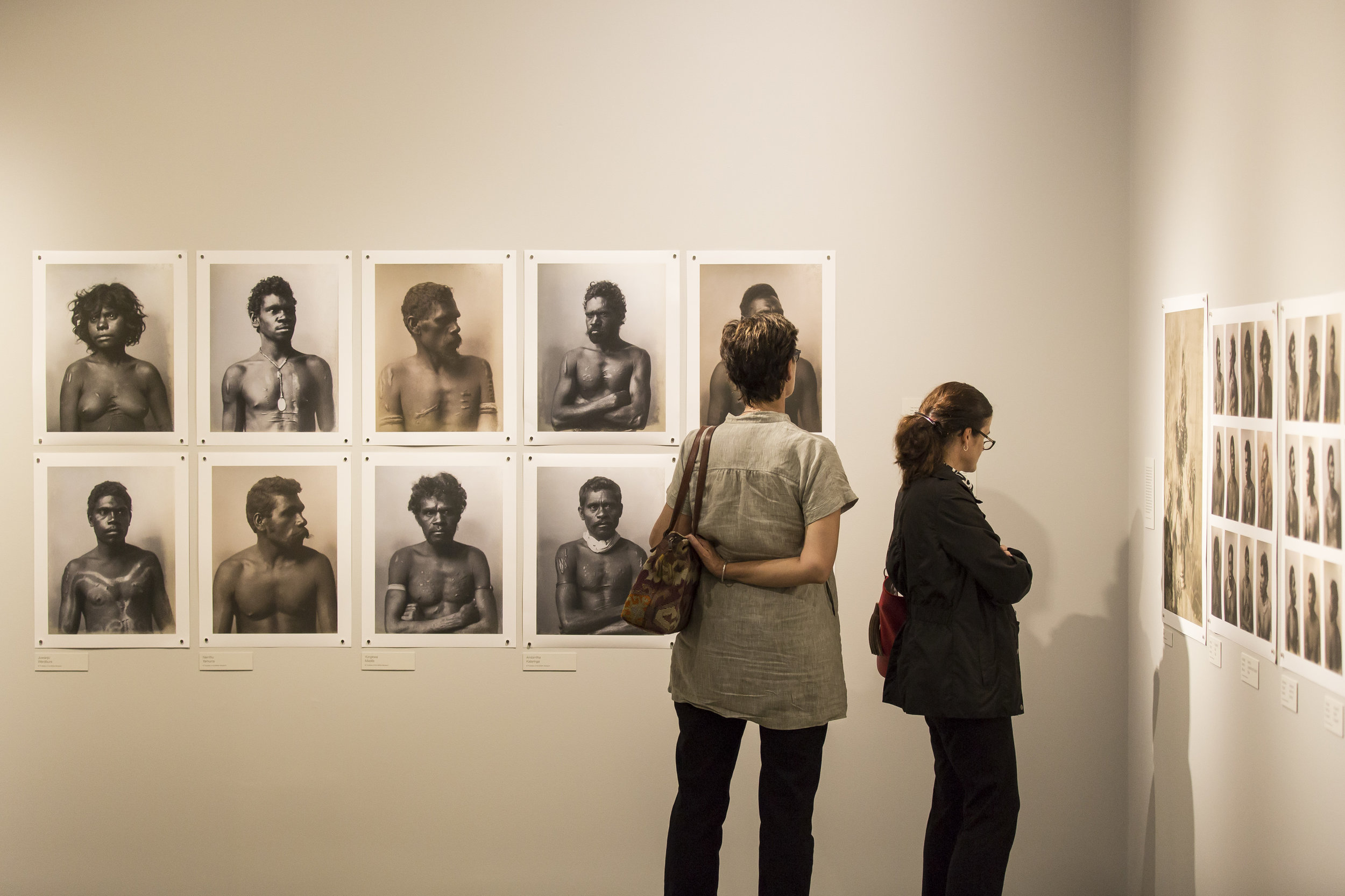 UniQueenslandAnthroMuseum_WildAustraliaExhib_2015 (14).jpg
