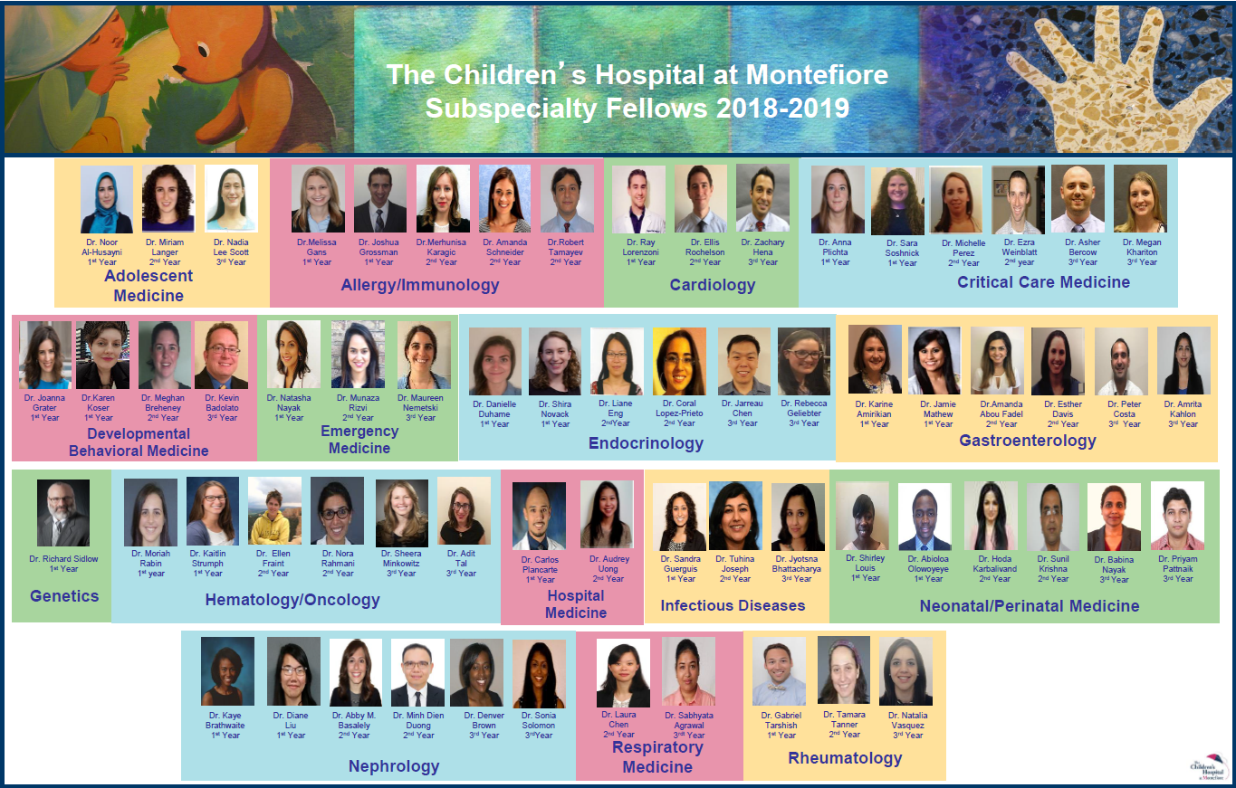 Fellow Facesheet 2018-19.PNG