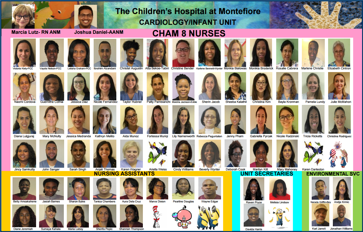 CHAM 8 Nurses Facesheet.PNG