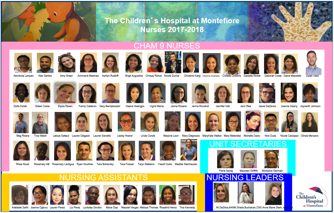 CHAM 9 Nurses Facesheet.PNG