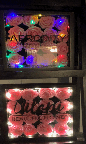 LightBoxes.gif
