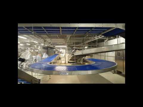 Normech transfer conveyor systems