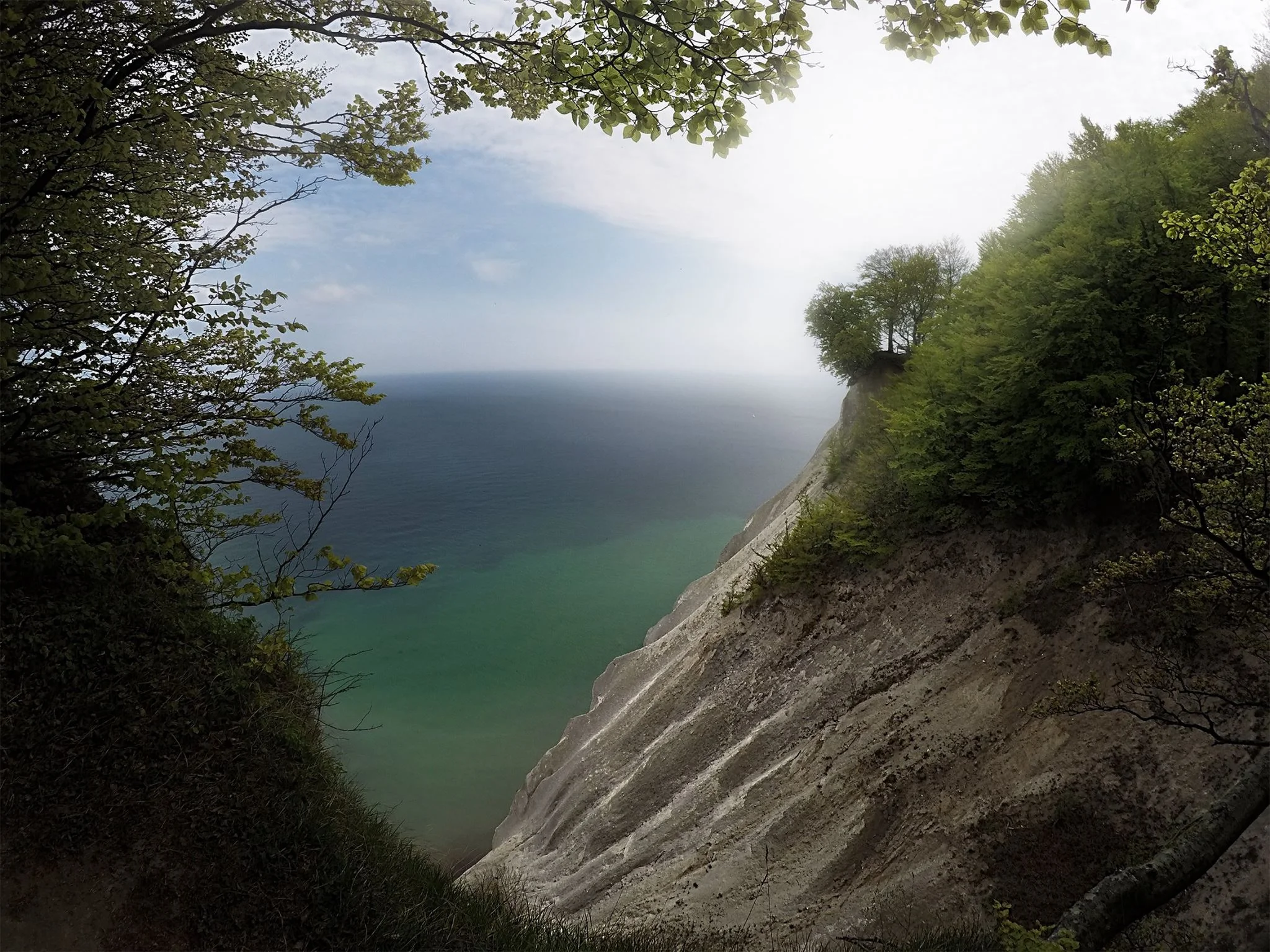 Møns Klint