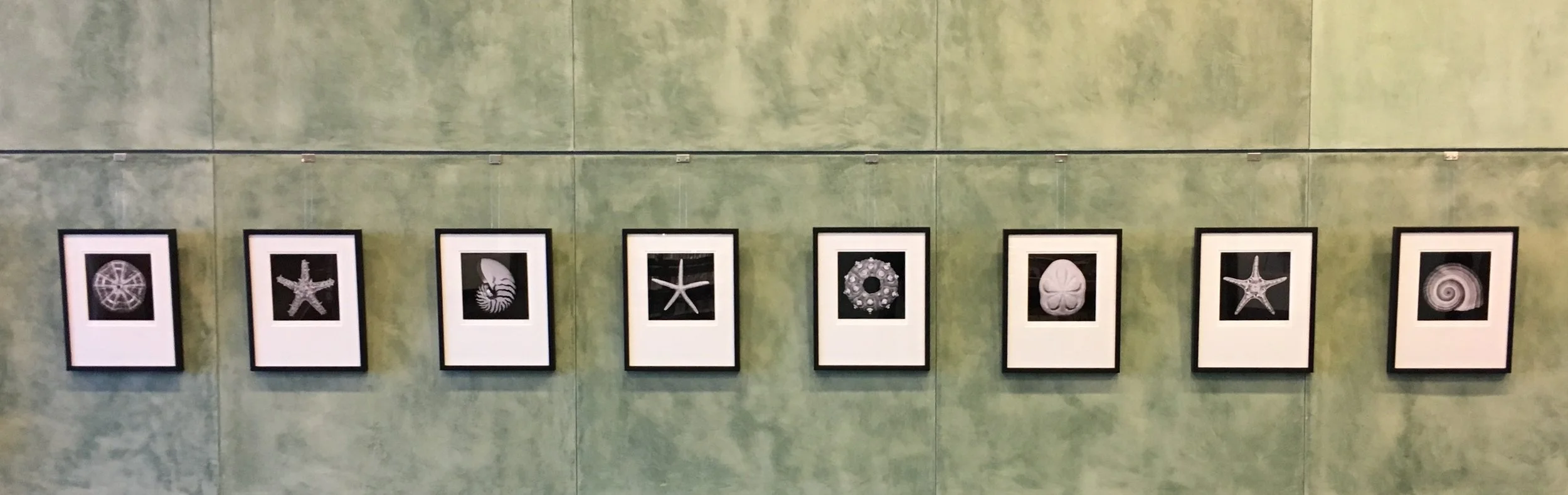 Gallery Showing (1).jpg