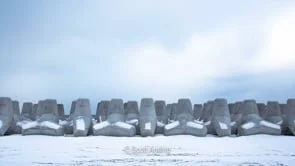 Tetrapods - Japan IV