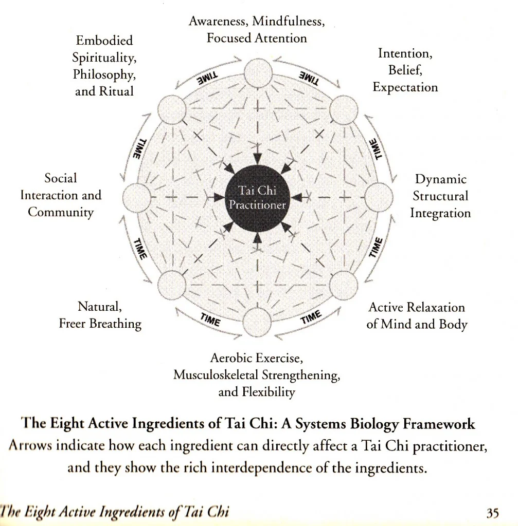 Eight-Ingredients-of-Tai-Chi-1007x1024.jpg