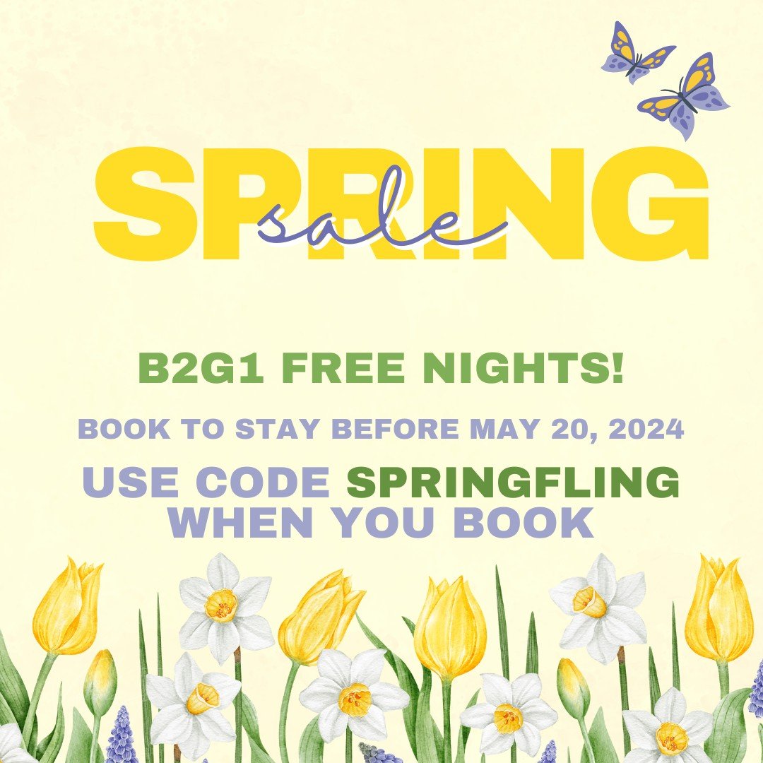 🌻 SPRING into a good time with our beautiful cabins and this coupon!
🌻 FLING yourself over to the website and book your 3 nights at your fave cabin before it's gone!

🪻 Use code SPRINGFLING when booking to get the discount!
https://bookings-lakewo