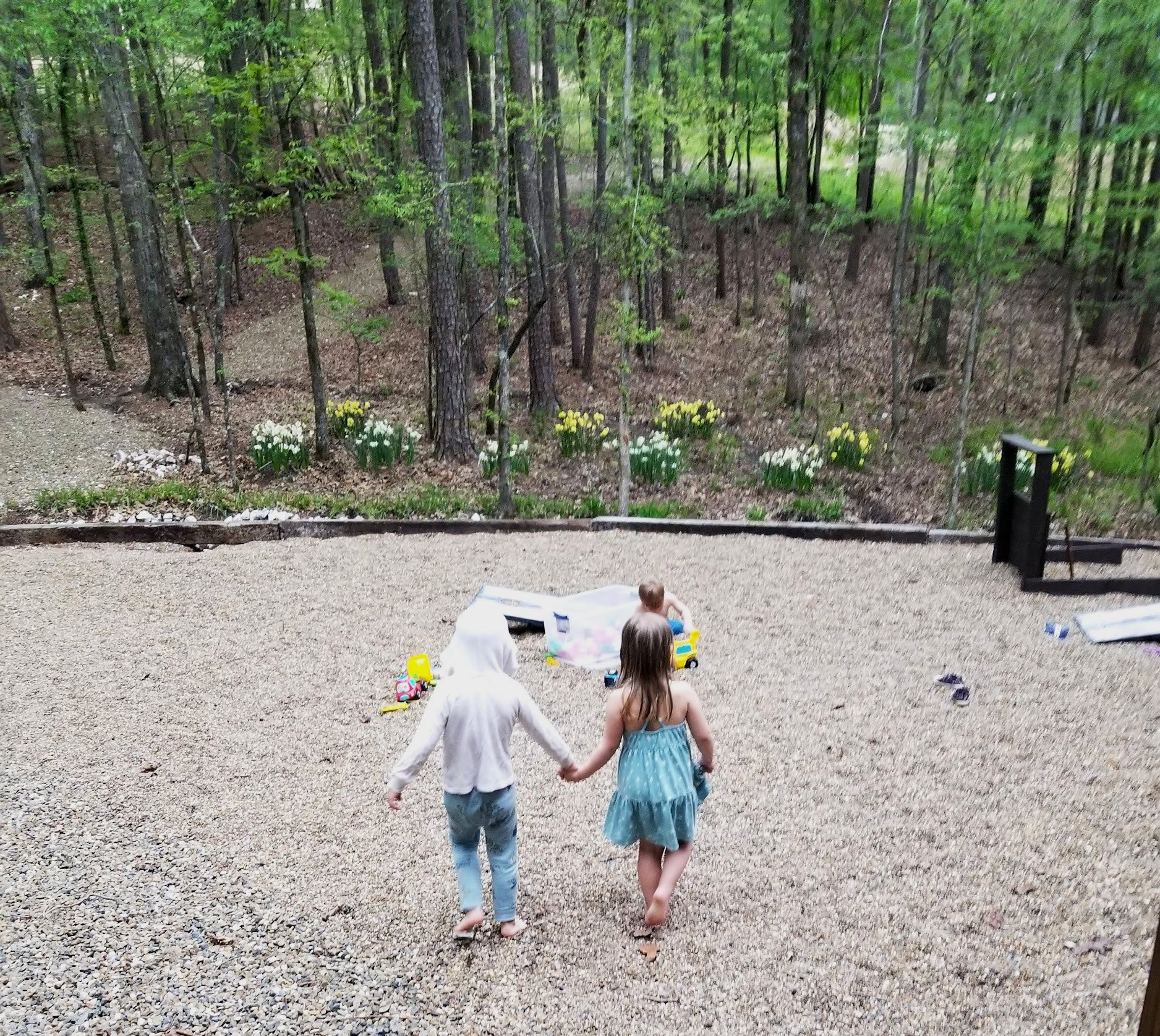 Daffodils_Gravel_Holding_Hands.jpg