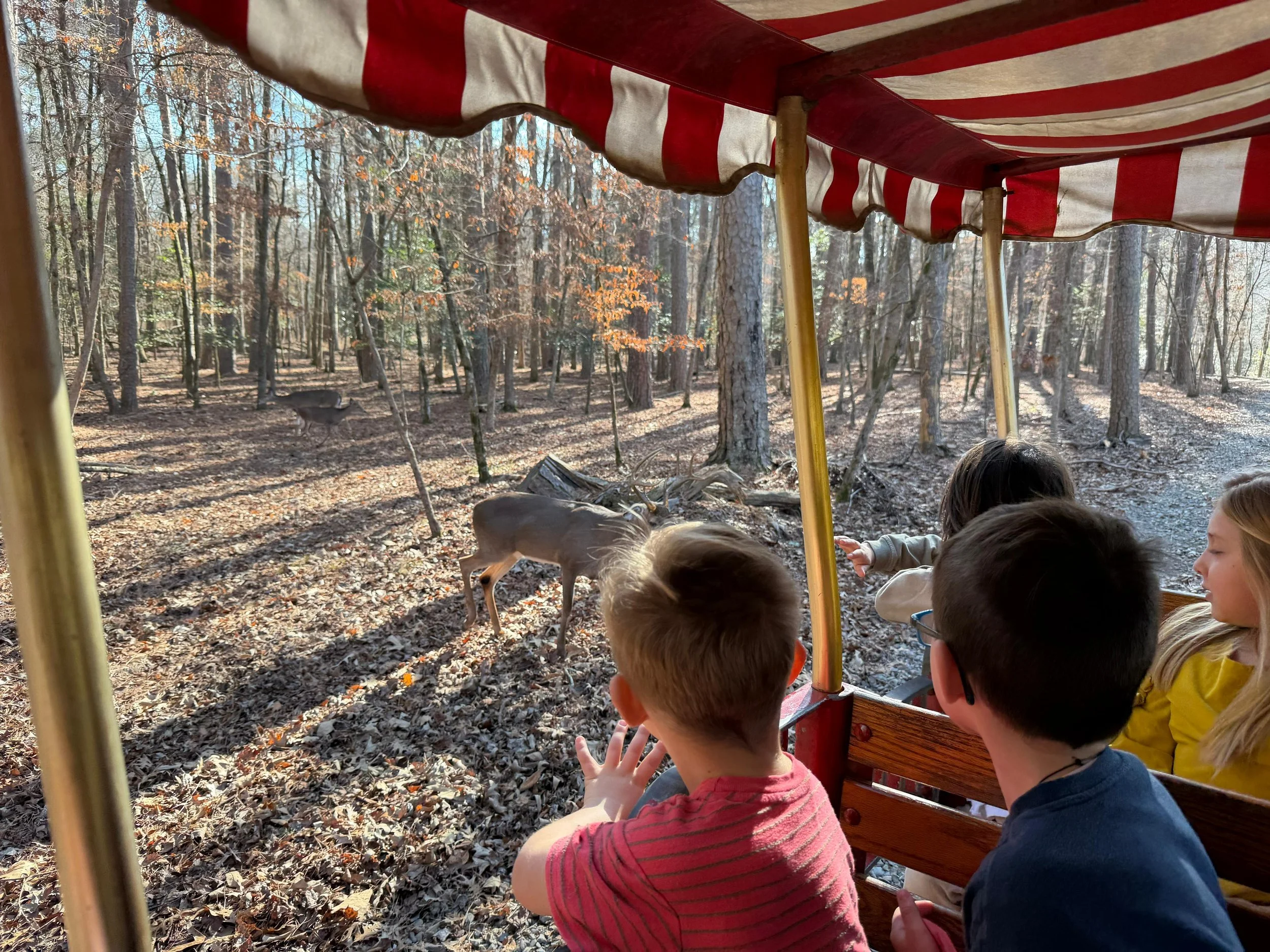 Deer_Train_kids heads.jpg